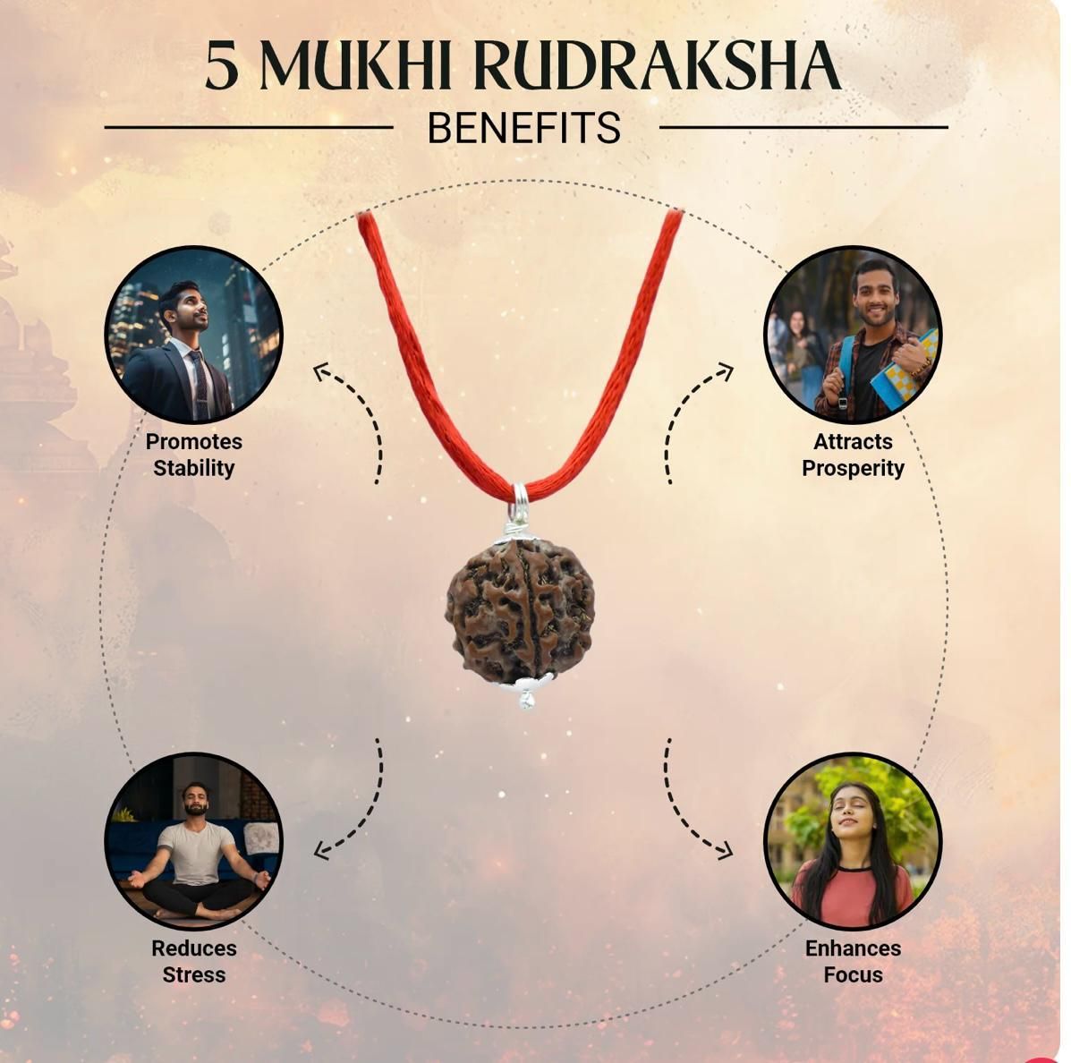 Maha Shivratri Combo - 5 Mukhi Rudraksha With Bracelet