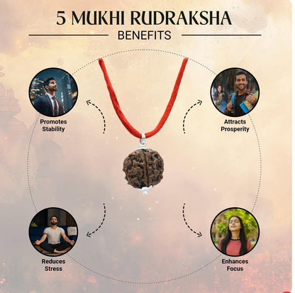 Maha Shivratri Combo - 5 Mukhi Rudraksha With Bracelet